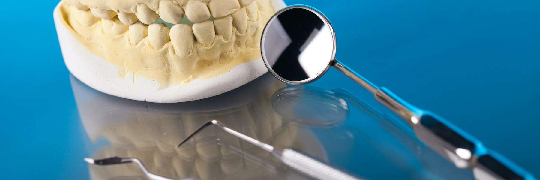 mouth model with dental tool | dentist charlotte nc